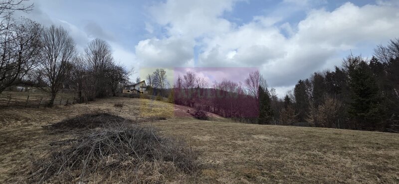 Teren intravilan de vanzare in Valea Doftanei