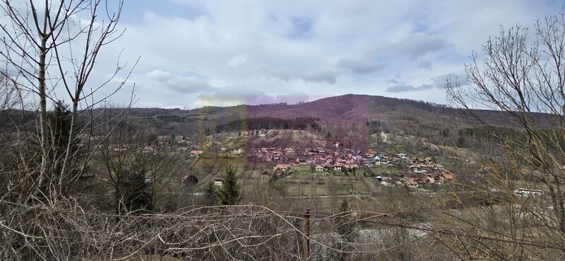 Teren intravilan de vanzare in Valea Doftanei