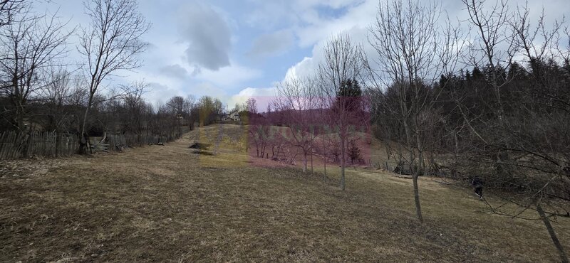 Teren intravilan de vanzare in Valea Doftanei