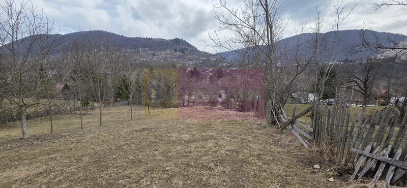Teren intravilan de vanzare in Valea Doftanei
