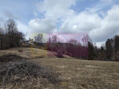 Teren intravilan de vanzare in Valea Doftanei