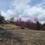 Teren intravilan de vanzare in Valea Doftanei